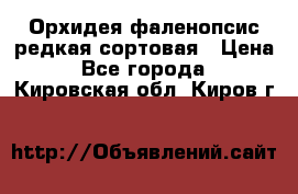 Орхидея фаленопсис редкая сортовая › Цена ­ 800 - Все города  »    . Кировская обл.,Киров г.